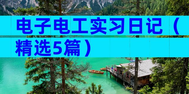 电子电工实习日记（精选5篇）