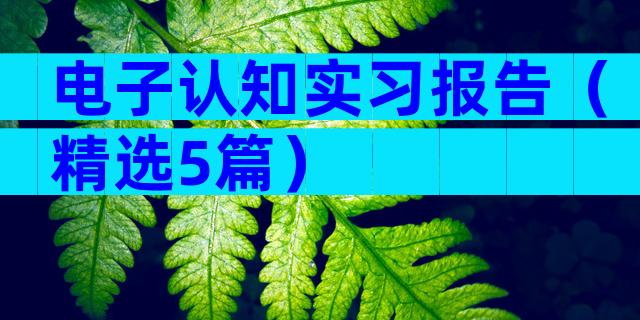 电子认知实习报告（精选5篇）