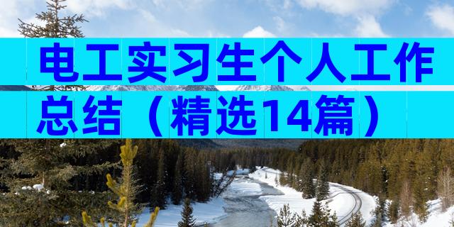 电工实习生个人工作总结（精选14篇）
