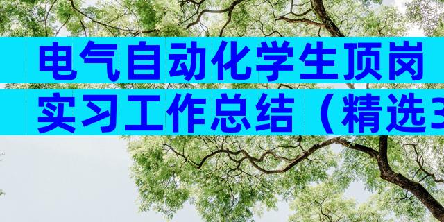 电气自动化学生顶岗实习工作总结（精选3篇）