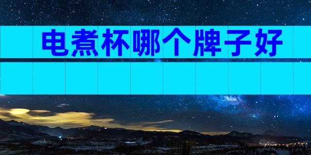 电煮杯哪个牌子好