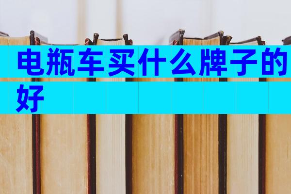 电瓶车买什么牌子的好