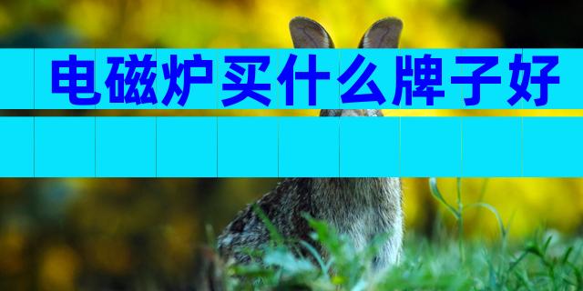 电磁炉买什么牌子好