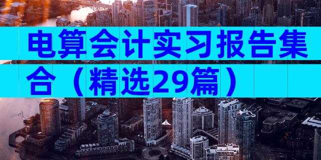 电算会计实习报告集合（精选29篇）