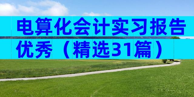 电算化会计实习报告优秀（精选31篇）