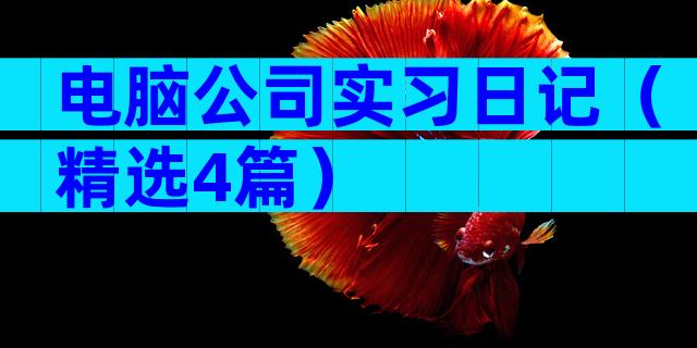 电脑公司实习日记（精选4篇）