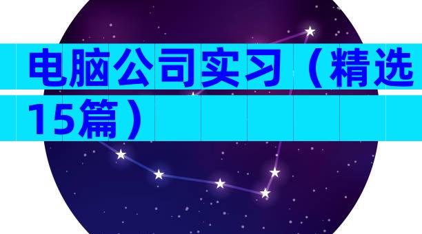 电脑公司实习（精选15篇）