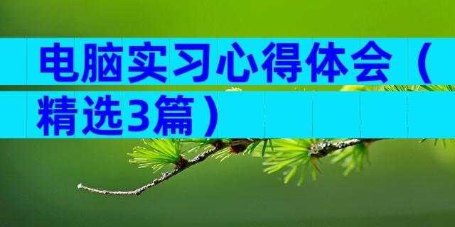 电脑实习心得体会（精选3篇）