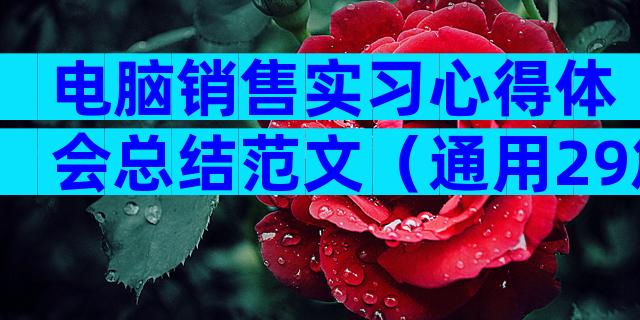 电脑销售实习心得体会总结范文（通用29篇）