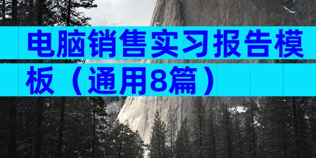 电脑销售实习报告模板（通用8篇）