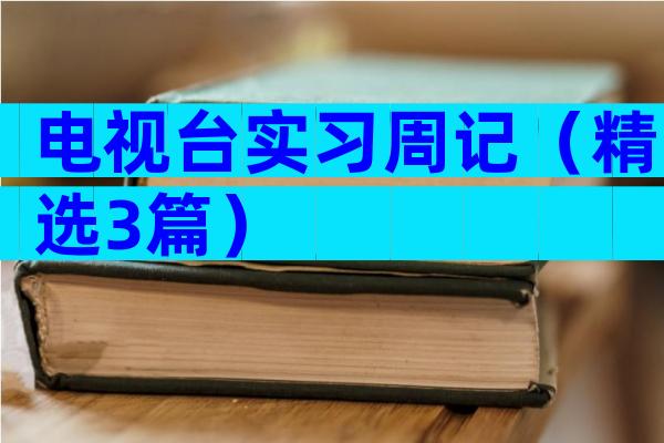 电视台实习周记（精选3篇）