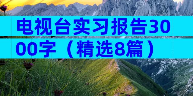 电视台实习报告3000字（精选8篇）
