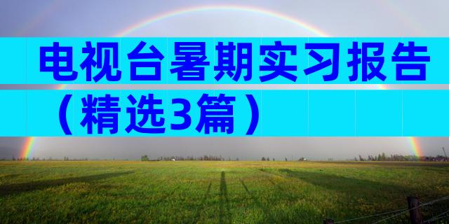 电视台暑期实习报告（精选3篇）