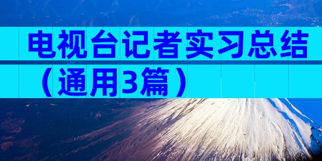 电视台记者实习总结（通用3篇）