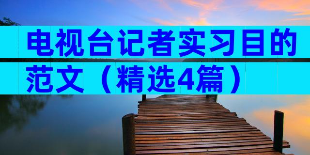 电视台记者实习目的范文（精选4篇）