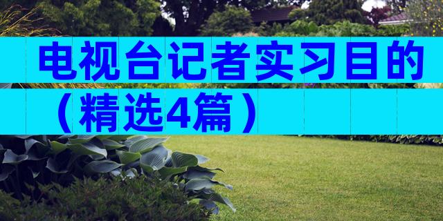 电视台记者实习目的（精选4篇）