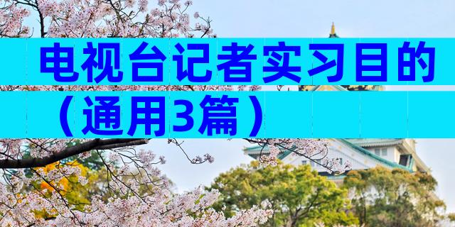 电视台记者实习目的（通用3篇）