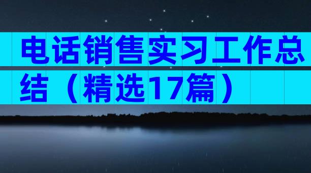 电话销售实习工作总结（精选17篇）