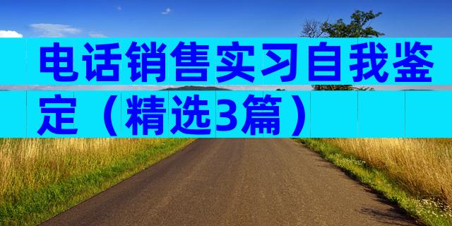 电话销售实习自我鉴定（精选3篇）