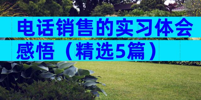 电话销售的实习体会感悟（精选5篇）