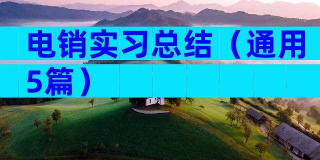 电销实习总结（通用5篇）