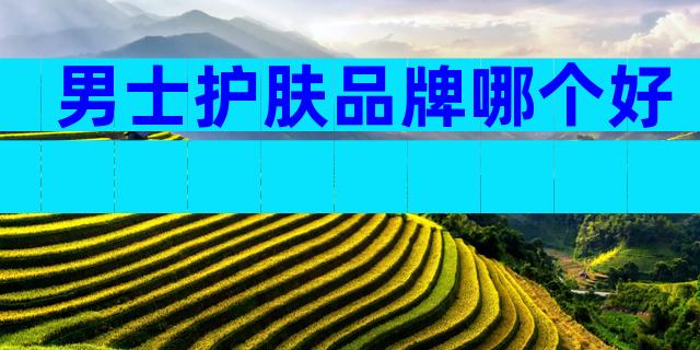男士护肤品牌哪个好