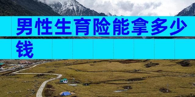 男性生育险能拿多少钱