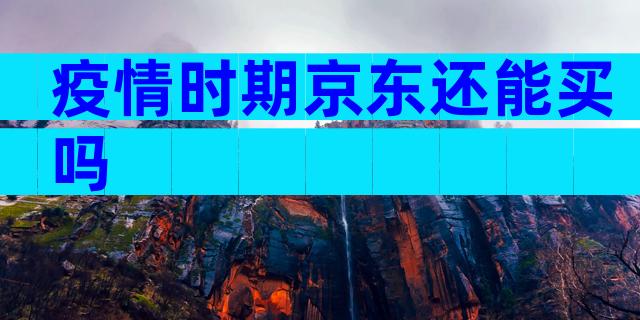 疫情时期京东还能买吗