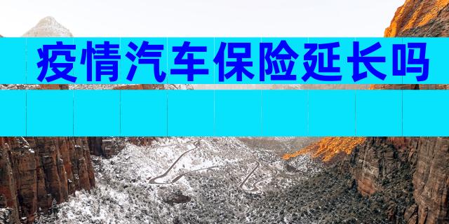 疫情汽车保险延长吗