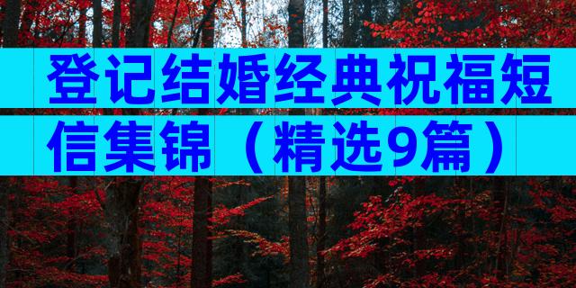 登记结婚经典祝福短信集锦（精选9篇）