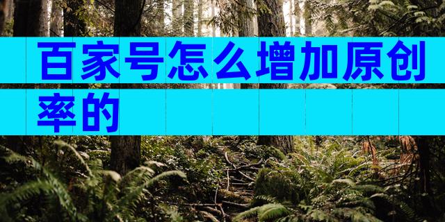 百家号怎么增加原创率的