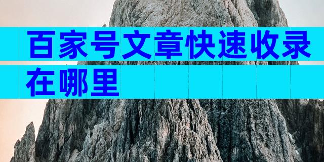 百家号文章快速收录在哪里
