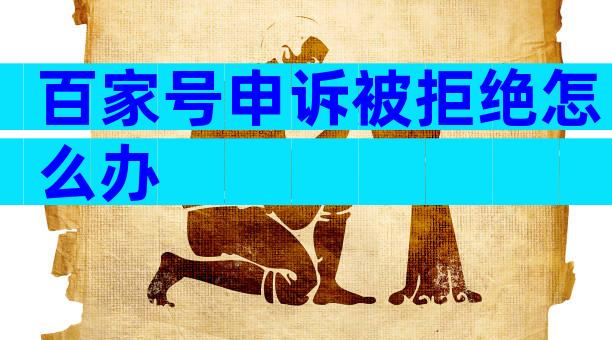 百家号申诉被拒绝怎么办