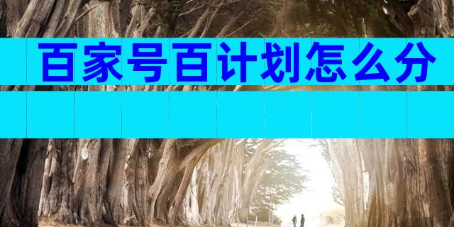 百家号百计划怎么分