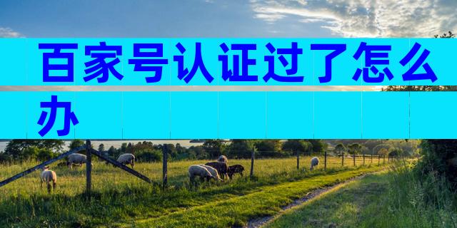 百家号认证过了怎么办