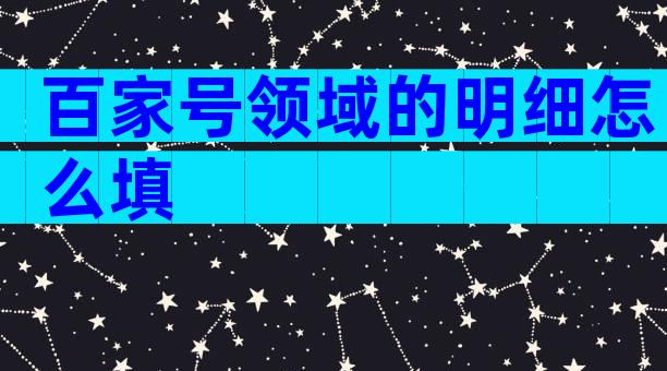 百家号领域的明细怎么填