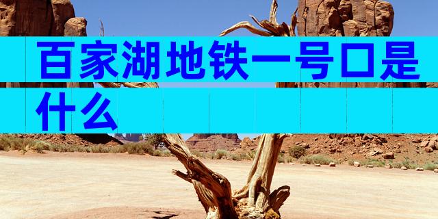 百家湖地铁一号口是什么