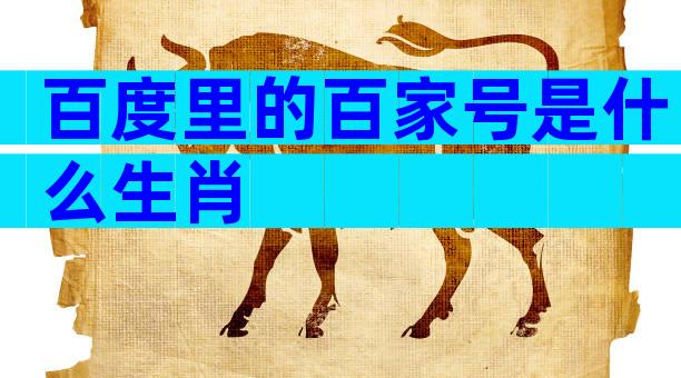 百度里的百家号是什么生肖