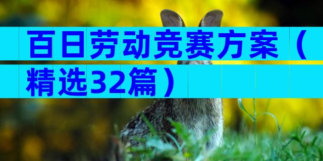 百日劳动竞赛方案（精选32篇）