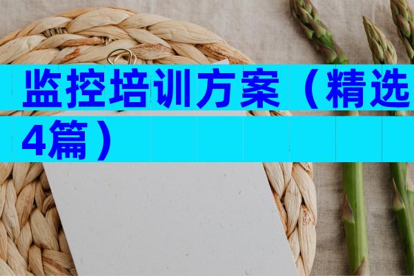 监控培训方案（精选4篇）