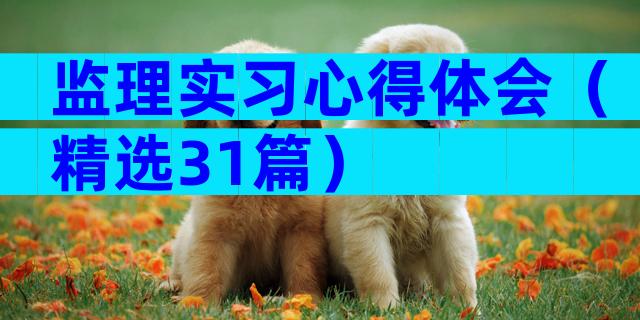 监理实习心得体会（精选31篇）
