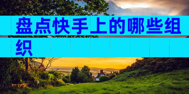 盘点快手上的哪些组织