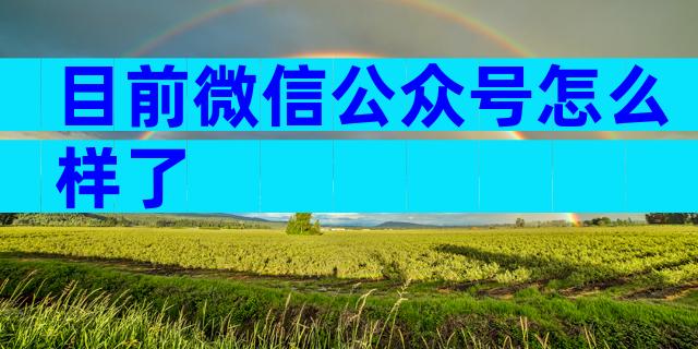 目前微信公众号怎么样了