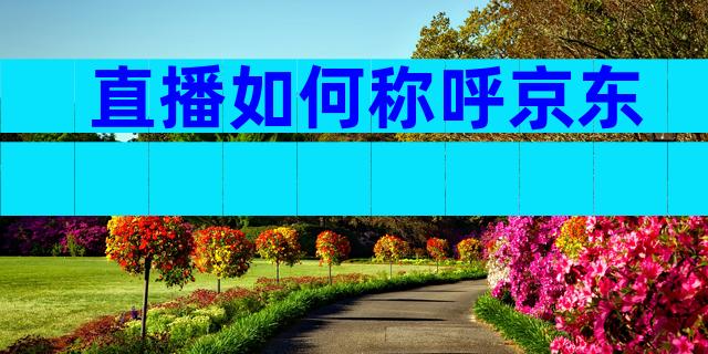 直播如何称呼京东