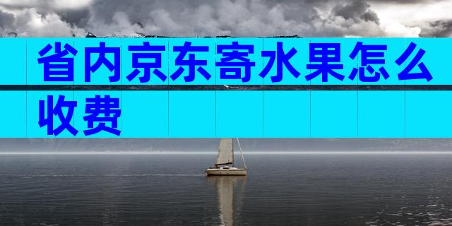 省内京东寄水果怎么收费