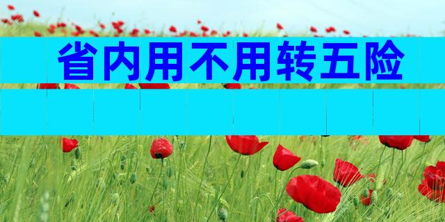 省内用不用转五险