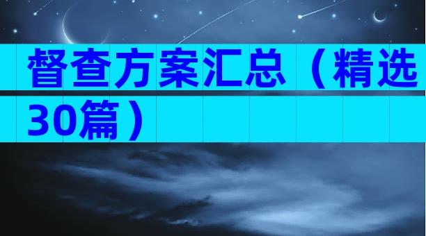 督查方案汇总（精选30篇）