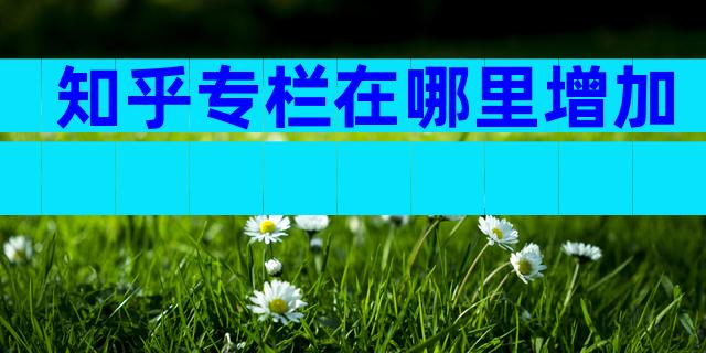知乎专栏在哪里增加