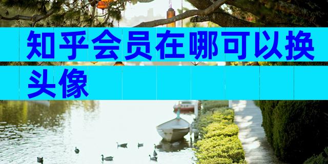 知乎会员在哪可以换头像