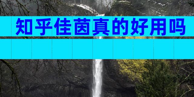 知乎佳茵真的好用吗